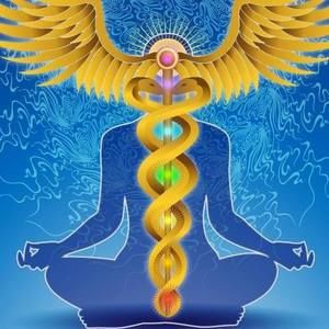 Meet your Posher, Love